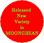 Released 
New 
Variety
in
MOONGBEAN