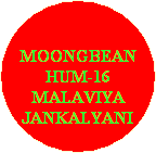 
MOONGBEAN
HUM-16
MALAVIYA
JANKALYANI