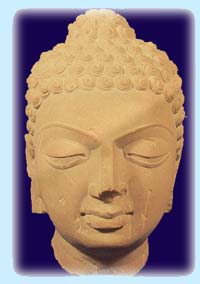 Buddha- head Mathura 5th century A.D. Sculpture